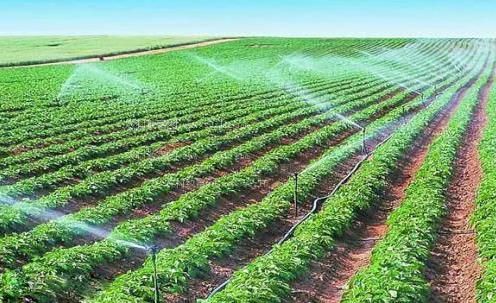 插笔视频哦哦哦农田高 效节水灌溉